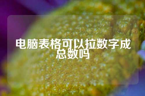 电脑表格可以拉数字成总数吗