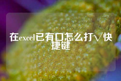 在excel已有口怎么打√快捷键