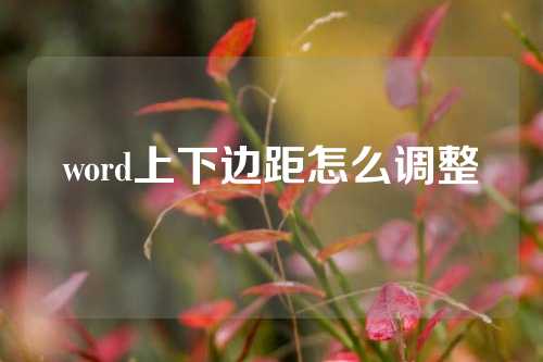 word上下边距怎么调整