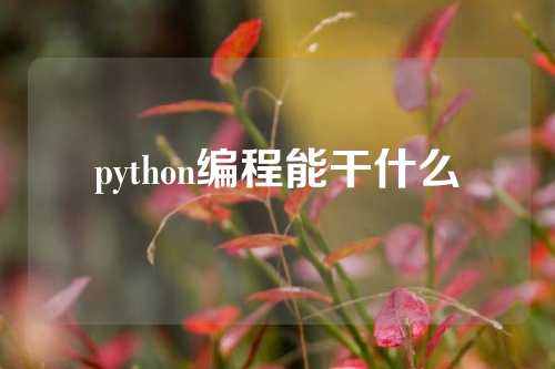 python编程能干什么