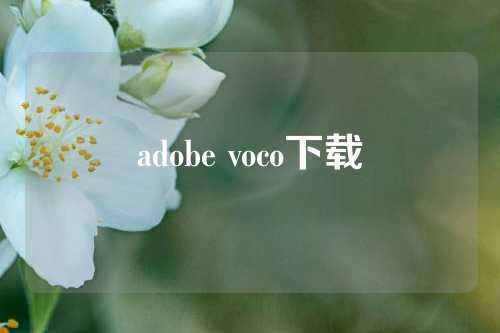 adobe voco下载