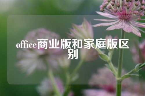 office商业版和家庭版区别