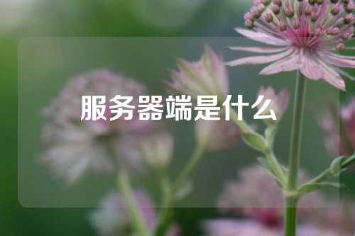 服务器端是什么