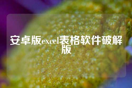 安卓版excel表格软件破解版