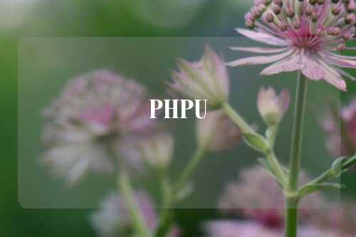 PHPU