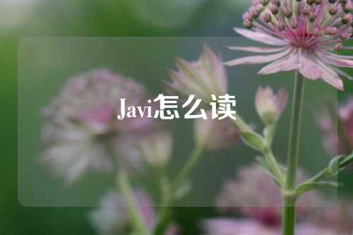 Javi怎么读