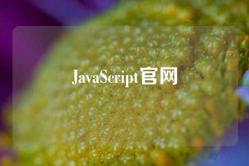 JavaScript官网