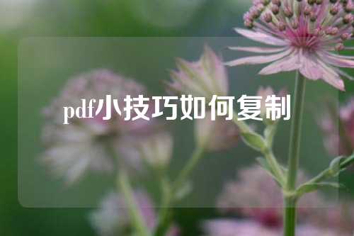 pdf小技巧如何复制