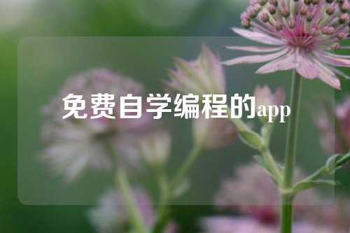 免费自学编程的app