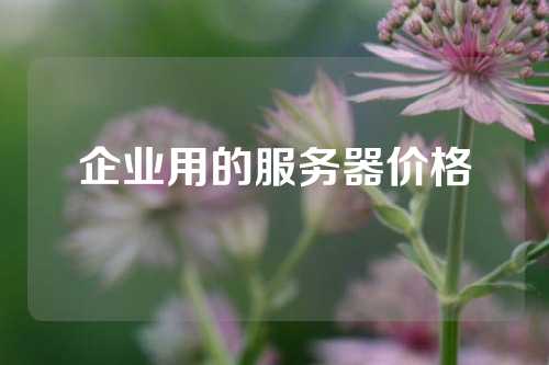 企业用的服务器价格