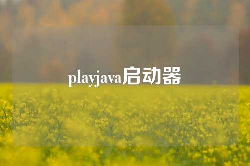 playjava启动器