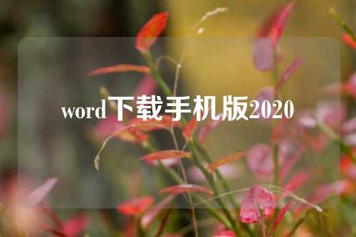 word下载手机版2020