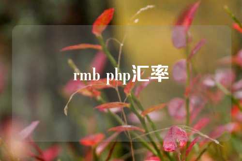 rmb php汇率