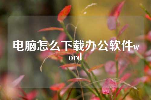 电脑怎么下载办公软件word