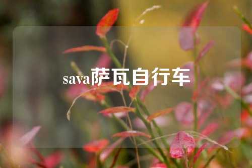 sava萨瓦自行车