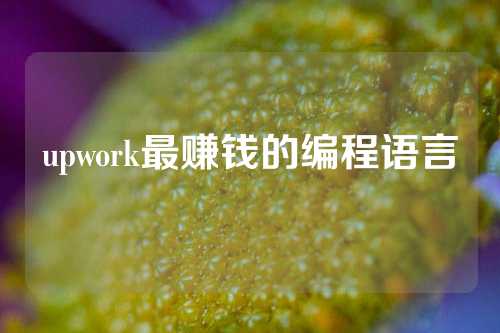 upwork最赚钱的编程语言