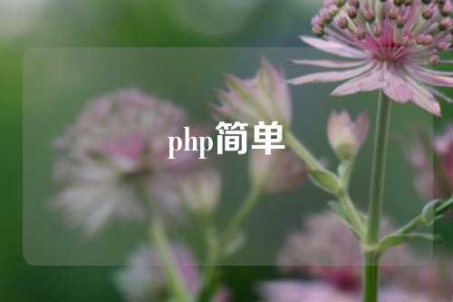 php简单