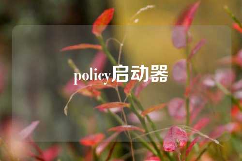 policy启动器