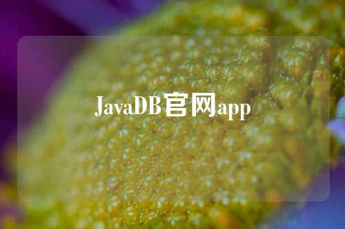 JavaDB官网app