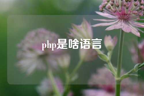 php是啥语言