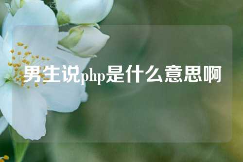 男生说php是什么意思啊