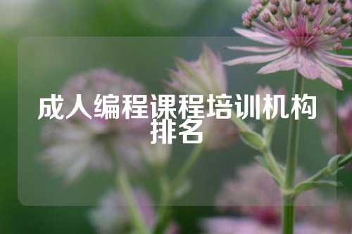 成人编程课程培训机构排名