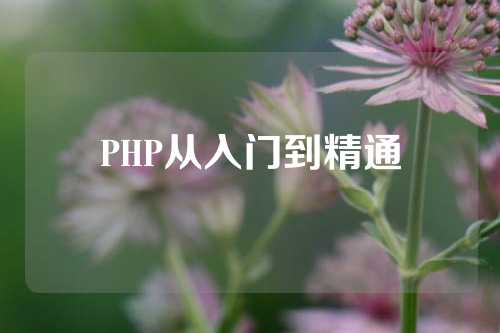 PHP从入门到精通