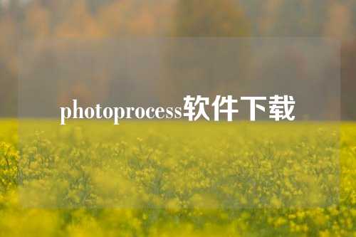 photoprocess软件下载