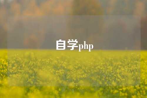 自学php