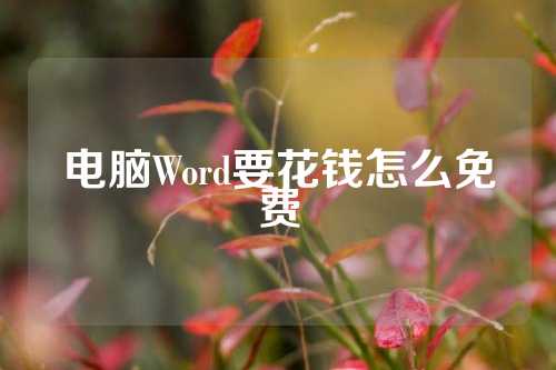 电脑Word要花钱怎么免费