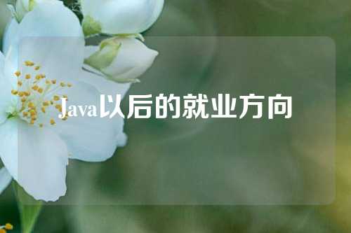 Java以后的就业方向