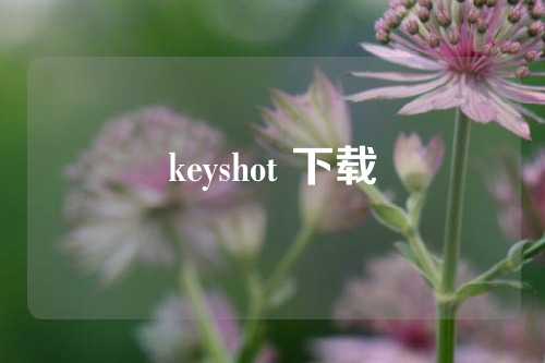 keyshot 下载