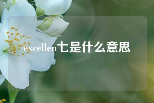 excellen七是什么意思