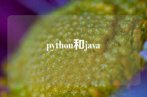 python和java