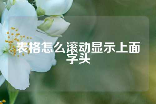 表格怎么滚动显示上面字头