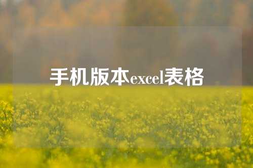 手机版本excel表格