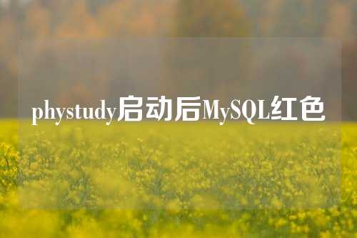 phystudy启动后MySQL红色