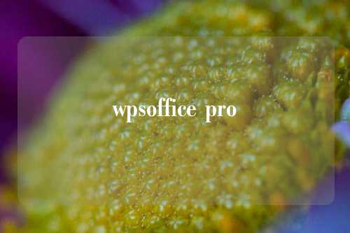 wpsoffice pro