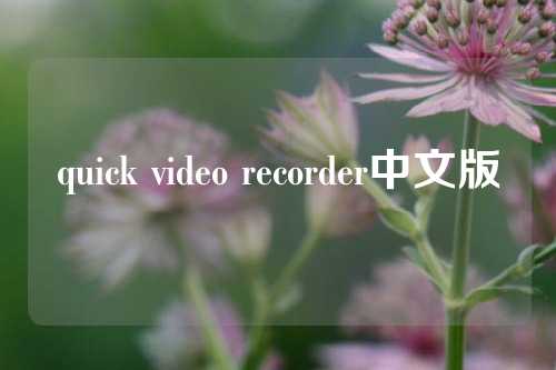 quick video recorder中文版