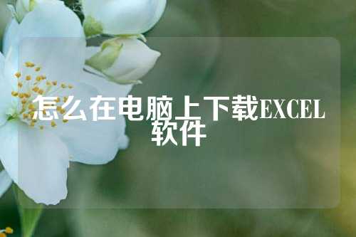 怎么在电脑上下载EXCEL软件