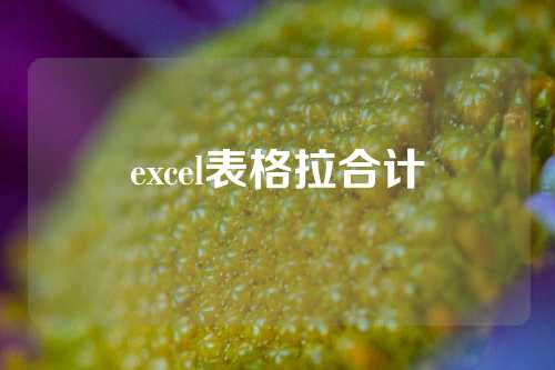 excel表格拉合计