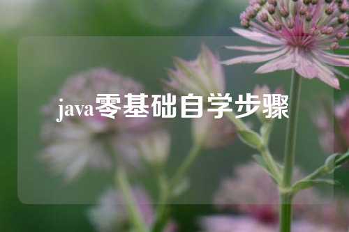 java零基础自学步骤