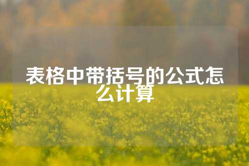 表格中带括号的公式怎么计算