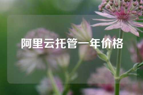 阿里云托管一年价格