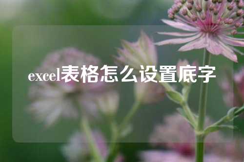 excel表格怎么设置底字