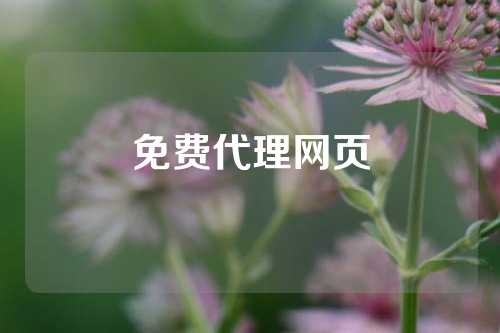 免费代理网页