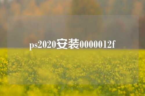 ps2020安装0000012f