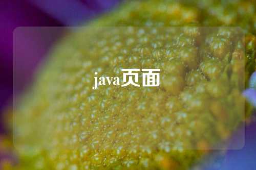 java页面