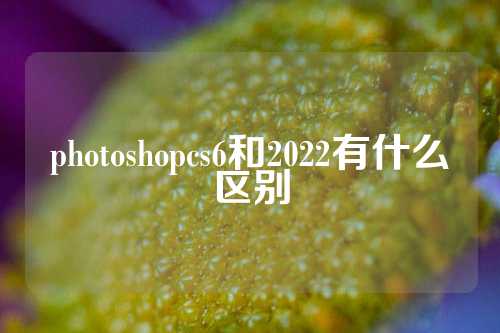 photoshopcs6和2022有什么区别