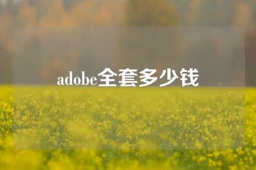 adobe全套多少钱